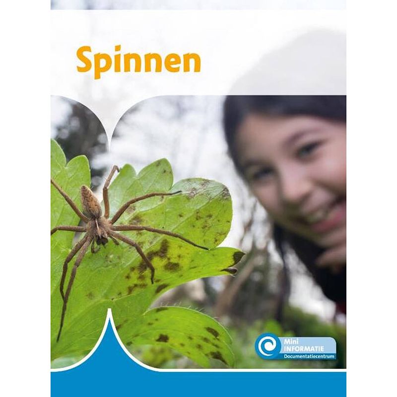 Foto van Spinnen