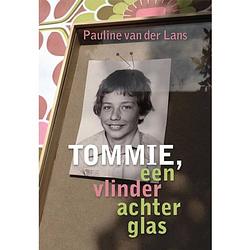 Foto van Tommie, een vlinder achter glas