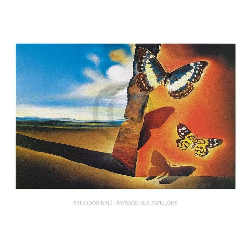 Foto van Salvador dali - paysage aux papillons kunstdruk 80x60cm