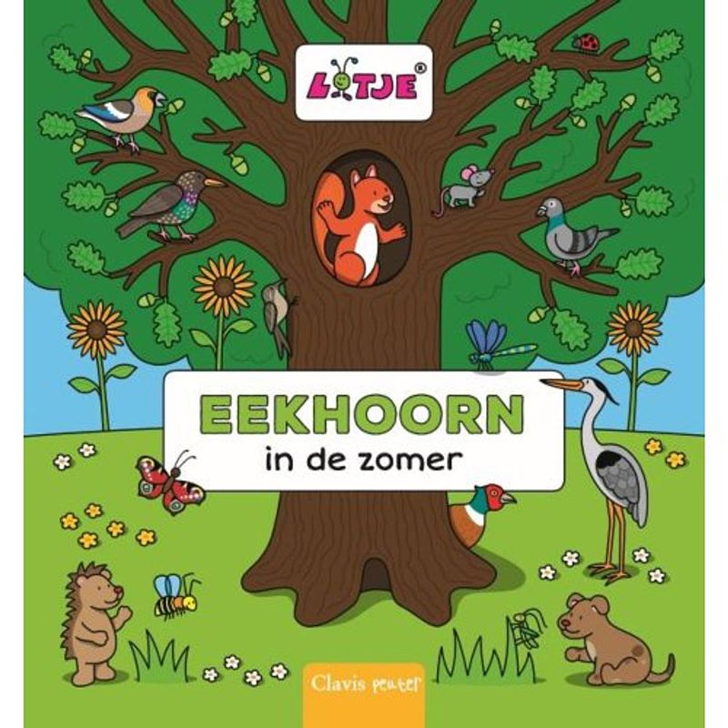 Foto van Eekhoorn in de zomer