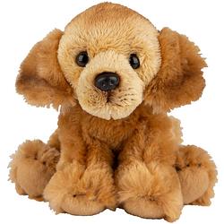 Foto van Pluche knuffel dieren golden retriever hond 13 cm - knuffel huisdieren