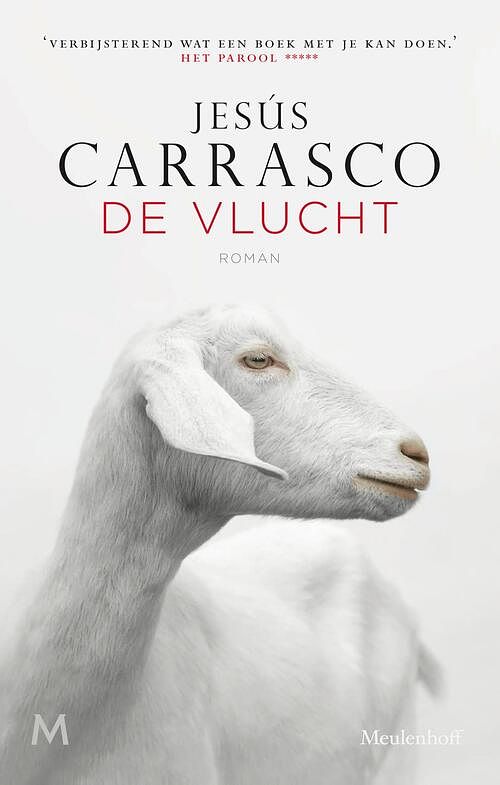 Foto van De vlucht - jesús carrasco - ebook (9789460235771)