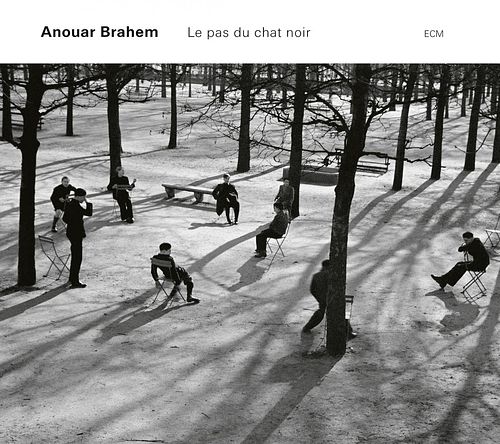 Foto van Le pas du chat noir (vinyl) - lp (0602577426636)