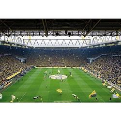 Foto van Wizard+genius borussia dortmund fan choreo fotobehang 366x254cm 8-delen