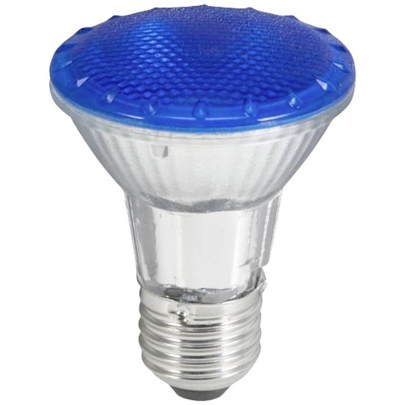 Foto van Omnilux 88021300 led-lamp e27 6 w blauw (ø x l) 63 mm x 83 mm 1 stuk(s)