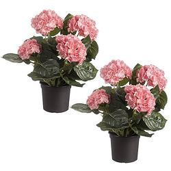 Foto van Set van 2x stuks roze hortensia hydrangea kunstplanten in zwarte kunststof pot 44 cm - kunstplanten