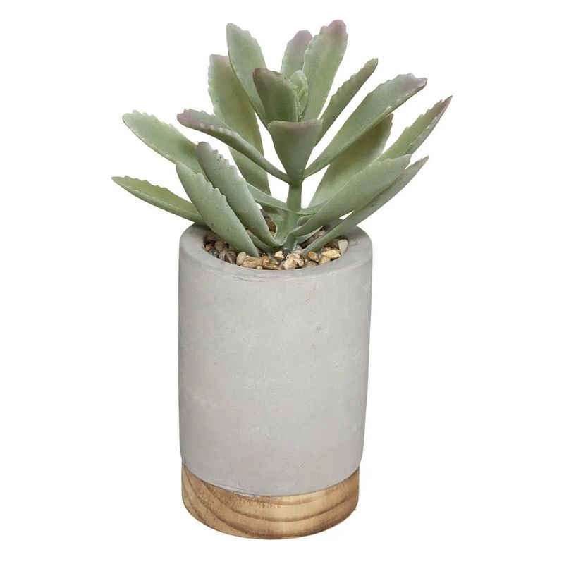 Foto van Atmosphera vetplant kunstplant in pot van cement grijs 20 cm - kunstplanten