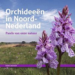 Foto van Orchideeën in noord-nederland