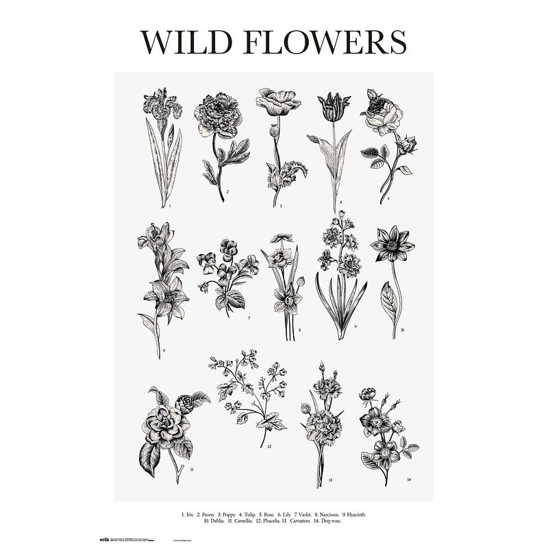Foto van Grupo erik wild flowers poster 61x91,5cm