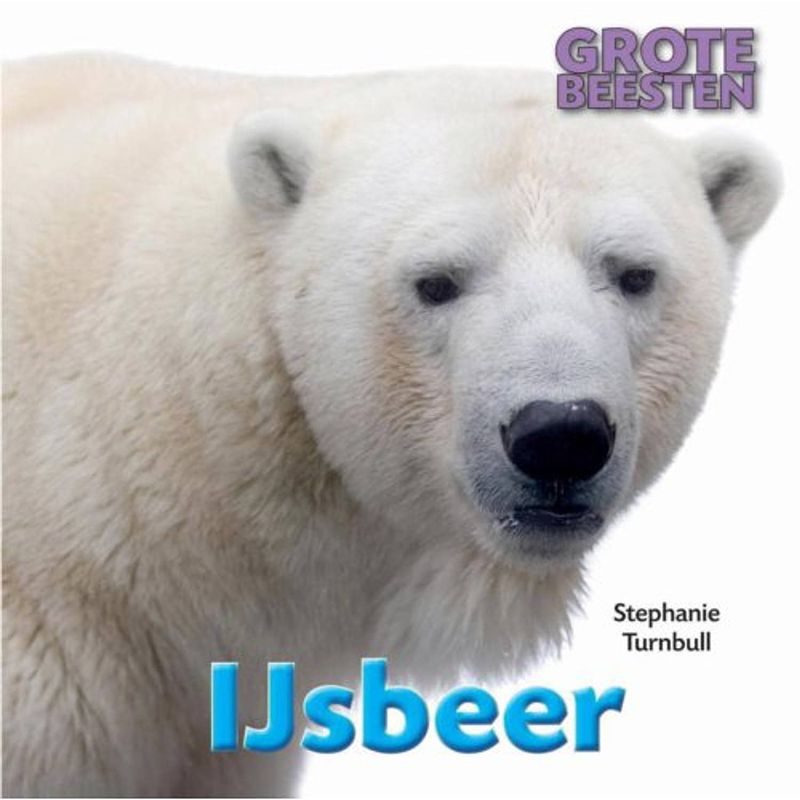 Foto van Ijsbeer - grote beesten