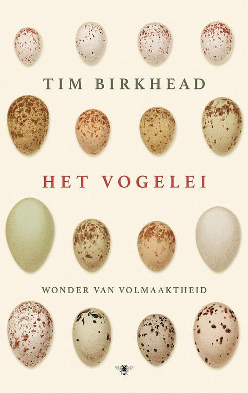 Foto van Het vogelei - tim birkhead - ebook (9789023498155)