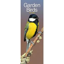 Foto van Garden birds kalender 2023 slimline