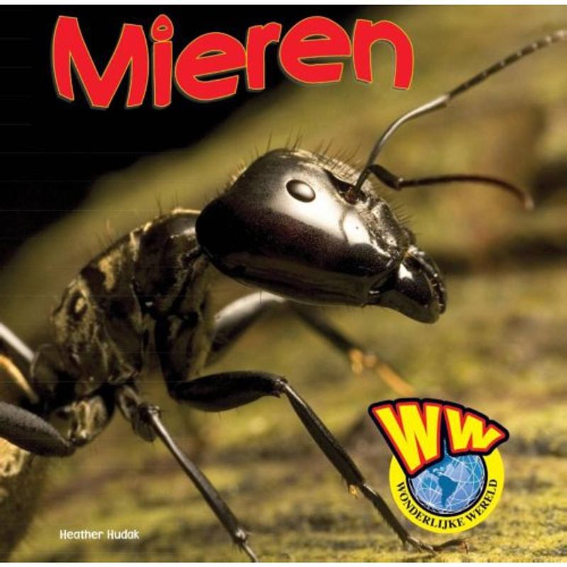 Foto van Mieren - wonderlijke wereld