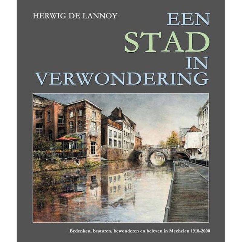 Foto van Een stad in verwondering