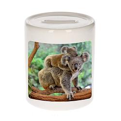Foto van Dieren foto spaarpot koala 9 cm - koalaberen spaarpotten jongens en meisjes - spaarpotten