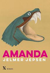 Foto van Amanda - jelmer jepsen - ebook (9789401606363)