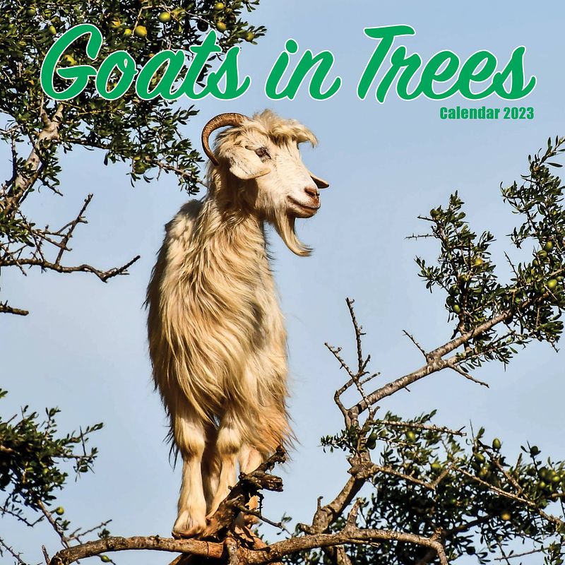 Foto van Goats in trees kalender 2023