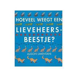 Foto van Hoeveel weegt een lieveheersbeestje?