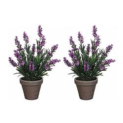 Foto van 2x stuks lavendel kunstplanten/kamerplanten paars in grijze sierpot h33 cm x d20 cm - kunstplanten/nepplanten