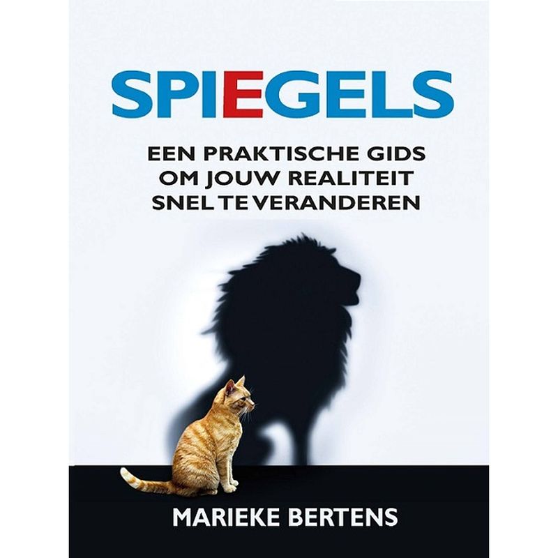 Foto van Spiegels