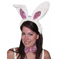 Foto van Diadeem konijn/haas verkleedset oren voor volwassenen - verkleedhoofddeksels