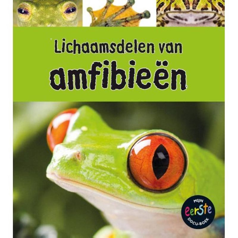 Foto van Lichaamsdelen van amfibieën - onder de loep