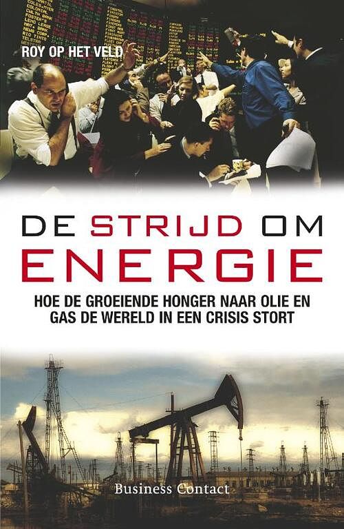 Foto van De strijd om energie - roy op het veld - ebook (9789047001348)