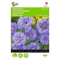 Foto van 2 stuks centaurea cyanus dubbelbloemig blue ball