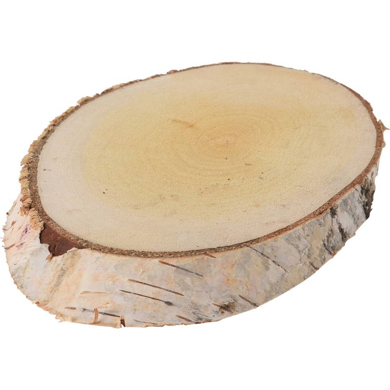 Foto van Nampook - wooden slice birch oval(f1)