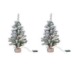 Foto van 2x stuks kunstboom/kunst kerstboom met sneeuw en licht 60 cm - kunstkerstboom