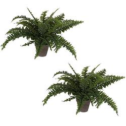 Foto van 2x stuks varen kunstplanten groen in terracotta pot h42 cm - kunstplanten/nepplanten