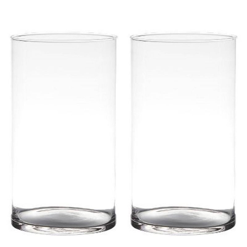 Foto van 2x stuks transparante home-basics cylinder vorm vaas/vazen van glas 25 x 14 cm - vazen