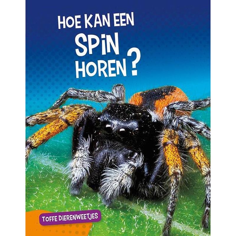 Foto van Hoe kan een spin horen?