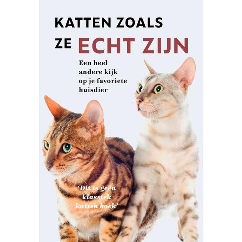 Foto van Katten zoals ze echt zijn