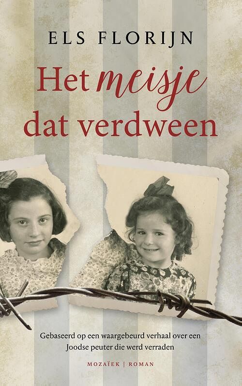 Foto van Het meisje dat verdween - els florijn - ebook (9789023916932)