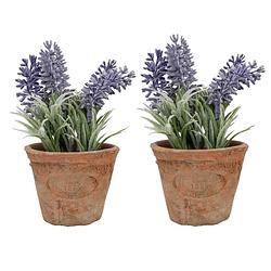 Foto van 2x stuks kunstplanten lavendel in terracotta pot 15 cm - kunstplanten
