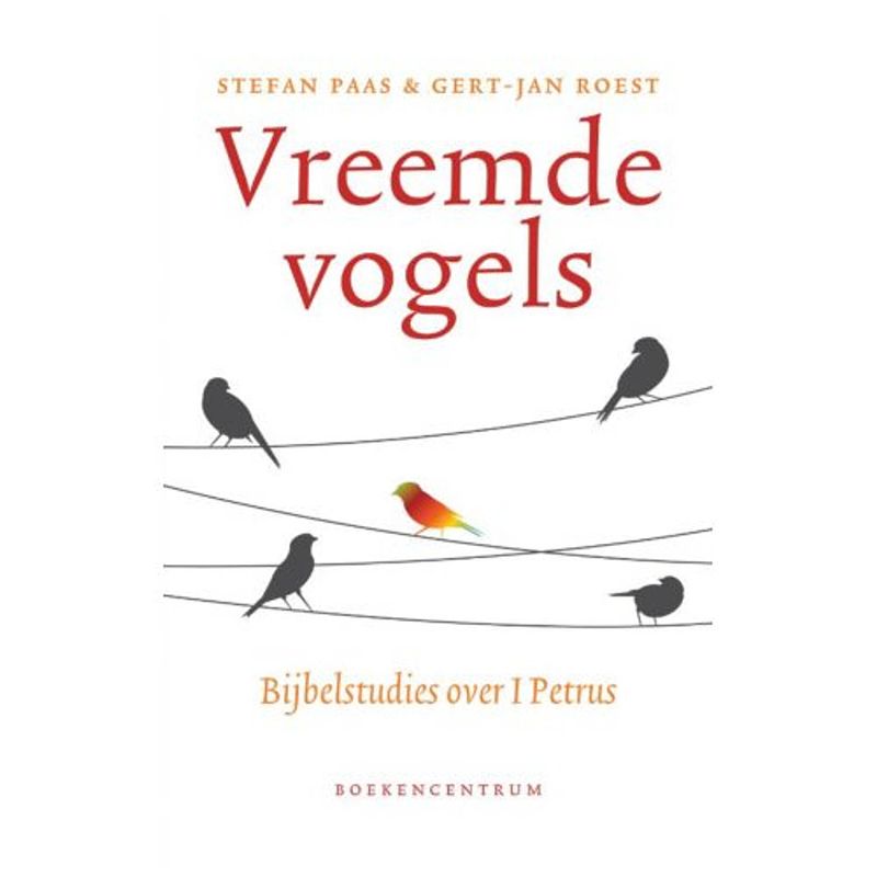 Foto van Vreemde vogels