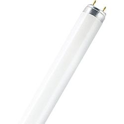 Foto van Osram tl-lamp energielabel: g (a - g) g13 18 w warmwit buis (ø x l) 25.5 mm x 604 mm 1 stuk(s)