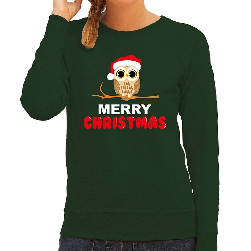 Foto van Leuke dieren kersttrui christmas uil kerst sweater groen voor dames 2xl - kerst truien