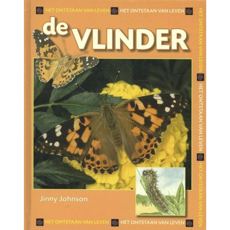 Foto van De vlinder - het ontstaan van leven