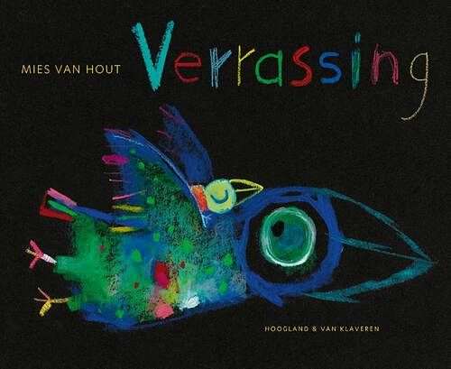 Foto van Verrassing - mies van hout - hardcover (9789089673862)