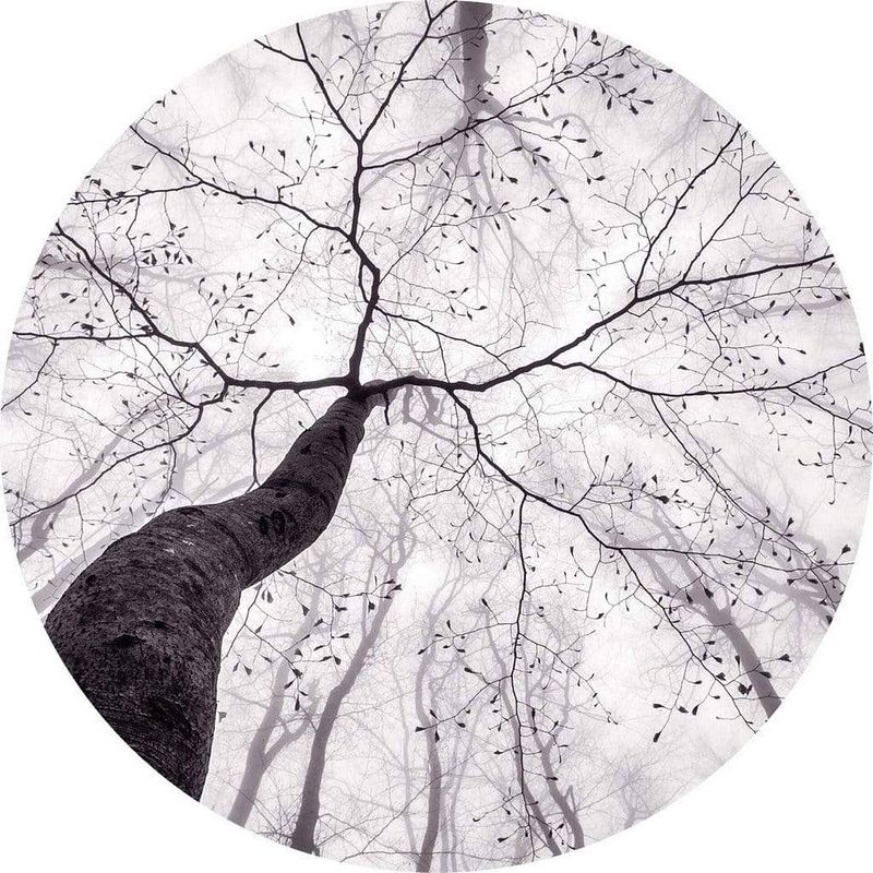 Foto van Wizard+genius inside the trees vlies fotobehang 140x140cm rond