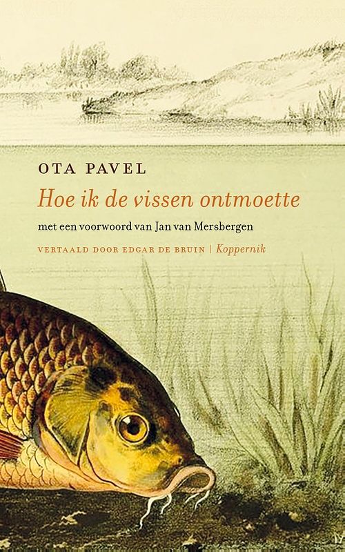 Foto van Hoe ik de vissen ontmoette - ota pavel - ebook