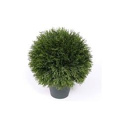 Foto van Kunstplant cypress bol in pot 36 cm - kunstplanten