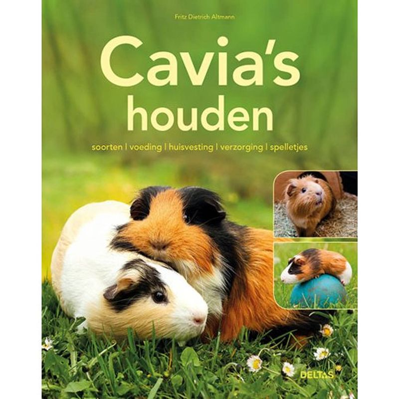 Foto van Cavia's houden