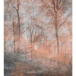 Foto van Dimex colorful forest abstract fotobehang 225x250cm 3-banen