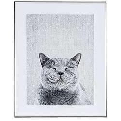 Foto van Schilderij knuffelige kat - zwart/wit/grijs - 40x50 cm - leen bakker