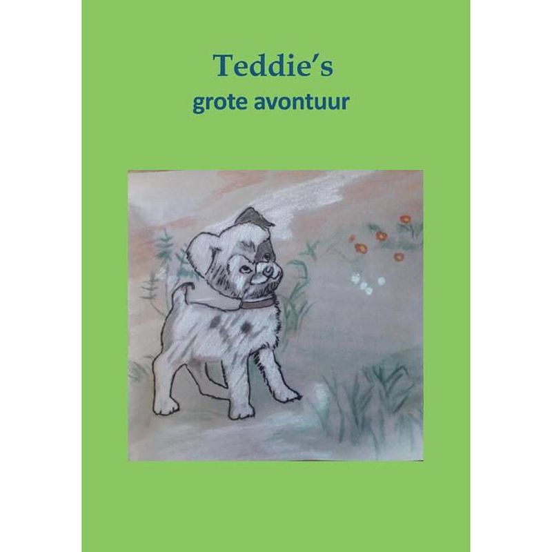 Foto van Teddies grote avontuur