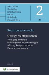 Foto van Overige rechtspersonen - paperback (9789013168129)