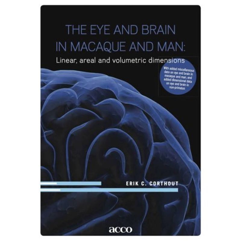 Foto van The eye and brain in macaque and man